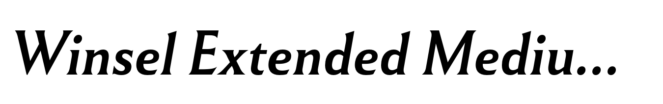 Winsel Extended Medium Italic